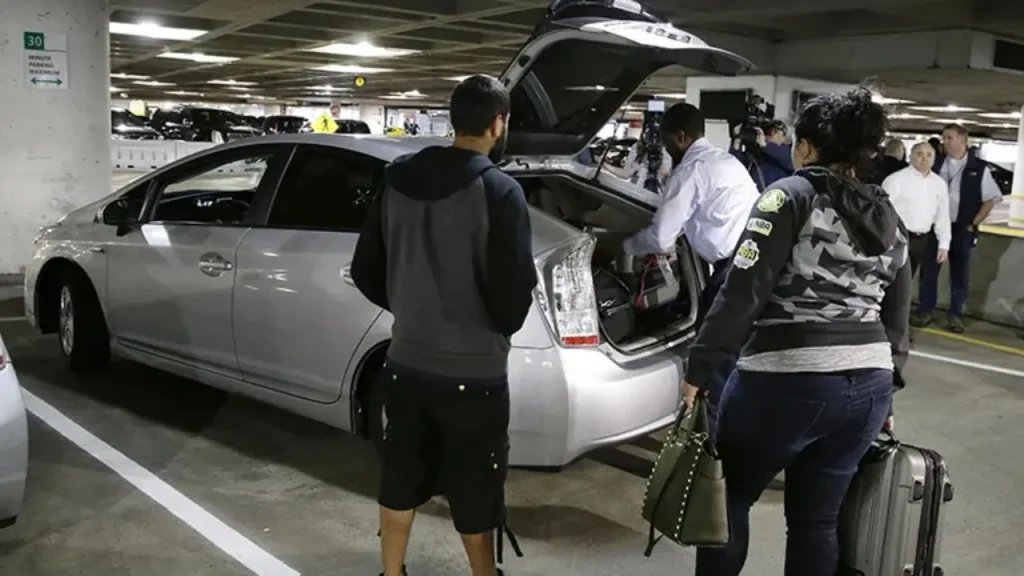 Factors affecting Uber cruise fares